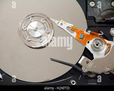 Disque dur de l'ordinateur à l'intérieur Banque D'Images