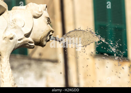 Détail de la fontaine d'eau de la région de Savone, Italie. Banque D'Images