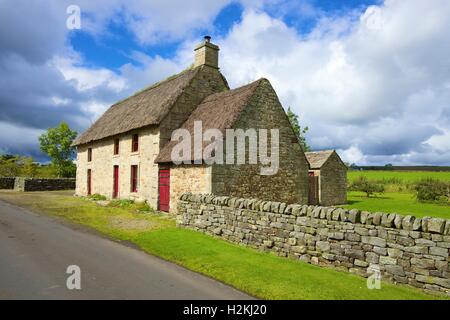 Causeway House. Ferme en pierre du 18ème siècle, Heather Black thack chaume. Vindolanda, Bardon Mill, Northumberland, Angleterre Banque D'Images