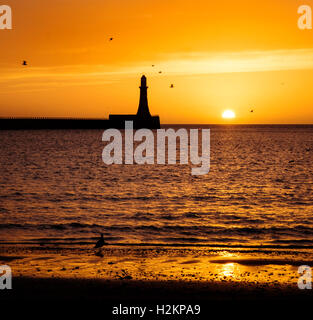 Sunderland, Royaume-Uni. 29 septembre 2016. Météo France : Sunderland se réveilla d'un glorieux lever du soleil ce matin dans ce qui sera un jour doux dans le nord-est de l'Angleterre. Crédit : Paul Swinney/Alamy Live News Banque D'Images