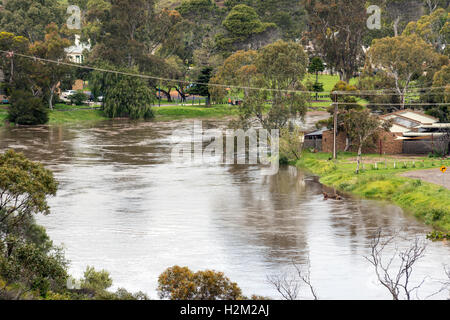 Old Noarlunga, Australie du Sud. 30 Septembre, 2016. L'inondation de la rivière Onkaparinga gonflée menace homes dans Old Noarlunga, au sud d'Adélaïde, comme la plus grande tempête à 50 ans hits Australie du Sud. Credit : Raymond Warren/Alamy Live News Banque D'Images