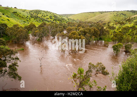 Old Noarlunga, Australie du Sud. 30 Septembre, 2016. Le calme de la rivière Onkaparinga normalement se brise ses banques remplissant un ensemble de la vallée en amont où les maisons sont en cours afin d'éviter l'inondation de sacs comme la plus grande tempête dans cinquante ans hits Australie du Sud. Credit : Raymond Warren/Alamy Live News Banque D'Images