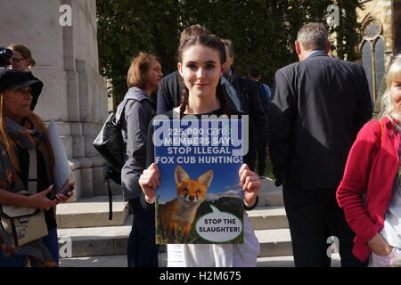 Londres, Angleterre, Royaume-Uni. Sep 30, 2016. Care2 l'hôte d'une manifestation contre la pratique barbare de "Cubbing" commence en août et se termine en novembre de chaque année. désolé Foxs est la loi lorsque vous l'intention de signer et de combien de temps vous pouvez vivre à la cour du Parlement, London, UK. Credit : Voir Li/Alamy Live News Banque D'Images