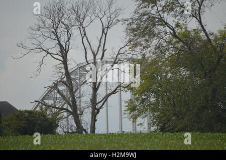 Un grand arbre mort est représenté à l'avant de la Rt. 213 pont sur le Canal de C&D à la ville de Chesapeake, Maryland. Banque D'Images