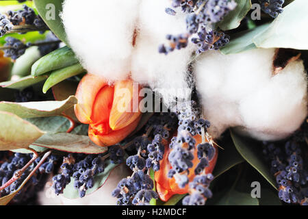 Bouquet de tulipes, d'eucalyptus, de lavande et de coton Banque D'Images