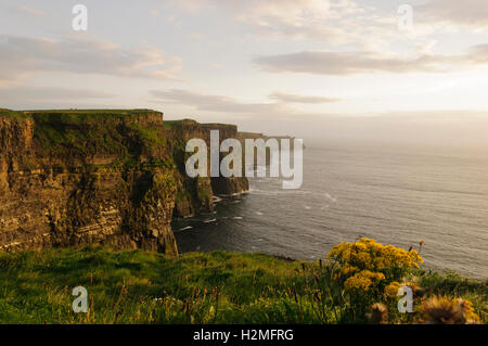 Les belles falaises de Moher, comté Clare, Irlande, Europe Banque D'Images