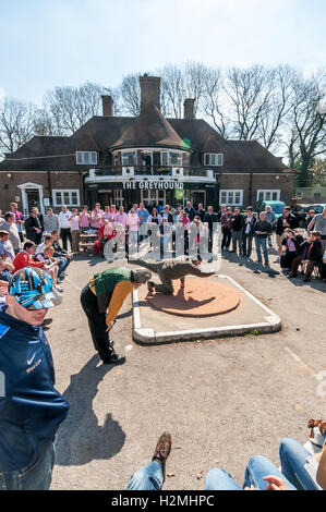 Championnats du monde des billes, a lieu chaque année depuis 1932 à la Pub de Greyhound, Tinsley Green, Surrey Banque D'Images