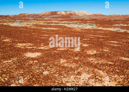 Gibber Plain dans Sturt désert pierreux de la piste à Birdsville, Australie du Sud Banque D'Images