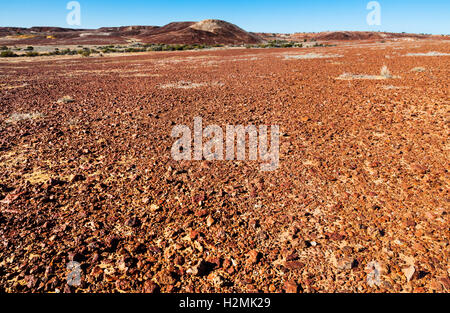 Gibber Plain dans Sturt désert pierreux de la piste à Birdsville, Australie du Sud Banque D'Images