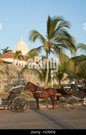 Calèches à Cartagena de Indias Banque D'Images