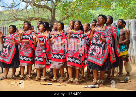 Swazi traditionnel affichage danse par la troupe à Mantenga Cultural Village, la Vallée d'Ezulwini, Swaziland eSwatini anciennement connu sous le nom de Banque D'Images