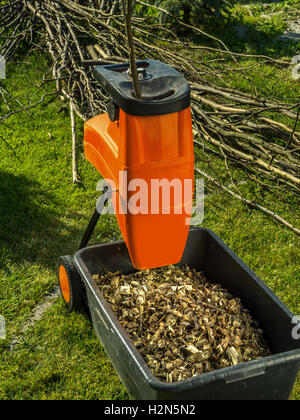 Bouilloire broyeur à bois avec des copeaux de bois utilisés pour le paillage de jardin Banque D'Images