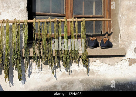 Les herbes chinoises et une paire de chaussures laissés à sécher au soleil par la fenêtre d'une maison de village typiquement chinois. Banque D'Images