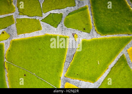 Mosaïque de carreaux de céramique cassée en vert lime Banque D'Images