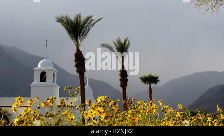 Église catholique avec clocher entouré de palmiers de la Californie un cotinus et tournesols et nuageux montagne Banque D'Images