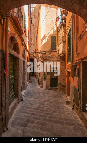 Un exemple de l'étroite allées qui sont typiques des villages Méditerranéens, Riomaggiore, Cinque Terre, Liguaria, Italie, Banque D'Images