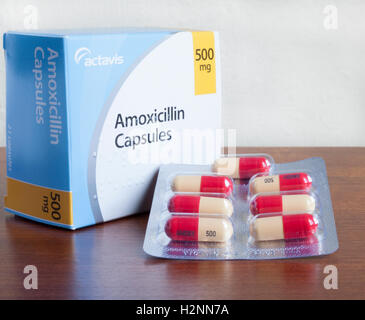 Stock photo d'une boîte d'amoxicilline (antibiotique de pénicilline) capsules produit par Actavis. Quelques capsules sont indiqués dans du film à bulles. Braille sur fort. Banque D'Images