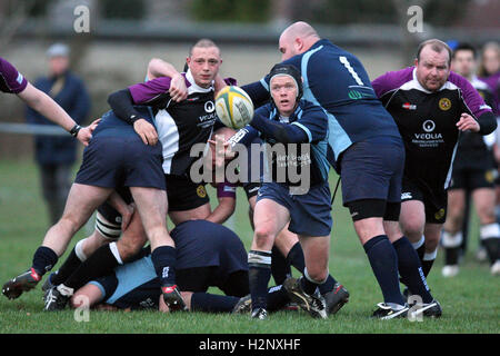 Park & Gidea Romford vs RFC RFC à Mersea Island Crow Lane - 28/11/09 Banque D'Images