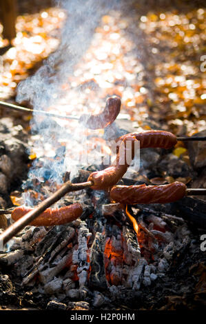 Les saucisses sur bois tenu plus de camp. Banque D'Images