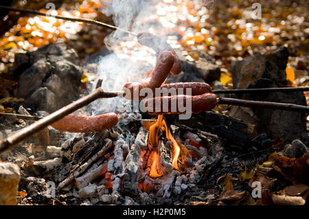 Les saucisses sur bois tenu plus de camp. Banque D'Images