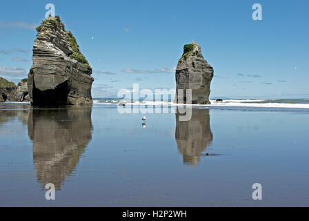 Une mouette solitaire se dresse entre la réflexion des trois Sœurs rocks en Amérique du Taranaki, en Nouvelle-Zélande. Banque D'Images