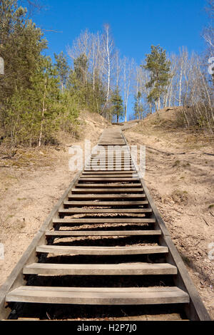 Un escalier en bois dans le parc Kalnai (parc des Collines) menant à la colline des trois croix à Vilnius, Luthuania Banque D'Images