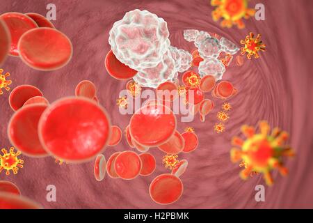 Illustration du virus de l'immunodéficience humaine (VIH) dans le sang. Le VIH est un virus à ARN de la famille Retroviridae qui cause le syndrome d'immunodéficience acquise (SIDA). Banque D'Images