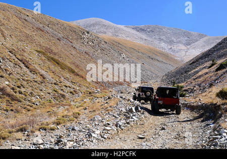 Deux jeeps sur un Colorado high country trail dans les Rocheuses, le Baldwin Gulch Road ou de la route 277 dans Chaffee Comté Banque D'Images