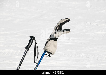 Gant de ski sur bâton de ski dans la neige Banque D'Images