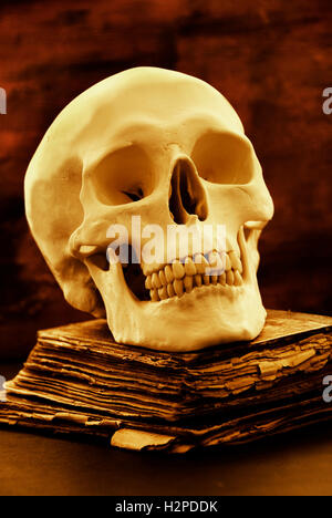 Crâne humain et vieux livre, horreur et Halloween concept Banque D'Images