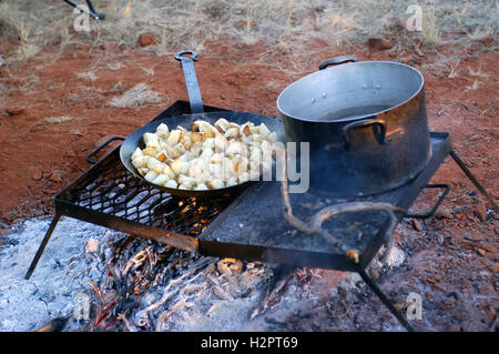 Cuisine dans le bush australien Banque D'Images