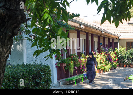 Yambol Monastère Kabile 30 Septembre 2016 : soleil et une chaude journée au monastère de nonne Kabile Rozhdestvo Presveta Bogoroditsa 'Na' signifie l'Assu du monastère Sainte Marie, l'âne et traditionnel panier sortie conduire sur un après-midi ensoleillé, les sections locales à la ville de marché de fruits et légumes : Crédit Clifford Norton/Alamy Live News Banque D'Images