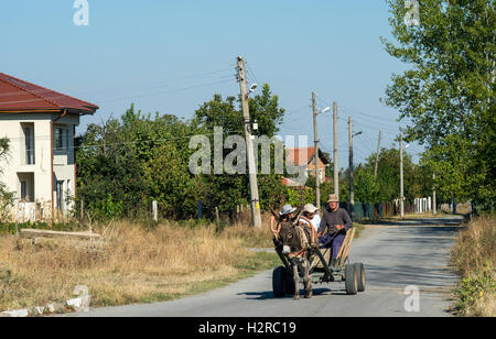 Yambol Monastère Kabile 30 Septembre 2016 : soleil et une chaude journée au monastère de nonne Kabile Rozhdestvo Presveta Bogoroditsa 'Na' signifie l'Assu du monastère Sainte Marie, l'âne et traditionnel panier sortie conduire sur un après-midi ensoleillé, les sections locales à la ville de marché de fruits et légumes : Crédit Clifford Norton/Alamy Live News Banque D'Images