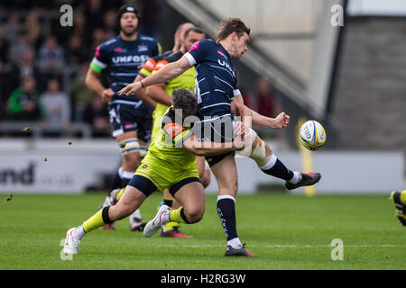 Stade AJ Bell, Salford, Royaume-Uni. 06Th Oct, 2016. Aviva Premiership Rugby. Sale Sharks contre les Leicester Tigers. Leicester Tigers Tom Brady s'attaque d'aile Sale Sharks fly demi AJ MacGinty. Credit : Action Plus Sport/Alamy Live News Banque D'Images