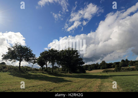 Epsom Downs, Surrey, UK. 1er octobre 2016. Flffy les cumulus sur Dealey Plaza, sur une journée en averses à Surrey. Credit : Julia Gavin UK/Alamy Live News Banque D'Images