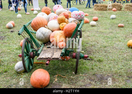 Gros tas de citrouilles sur le foin dans un panier en bois la saison de la récolte à la ferme grâce à un festival en Moldavie Banque D'Images