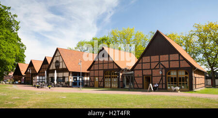 Maisons à colombages, de Scheunenviertel, Steinhude, Parc naturel Steinhuder Meer, Basse-Saxe, Allemagne Banque D'Images