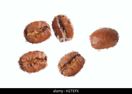 Les grains de café sur fond blanc Banque D'Images