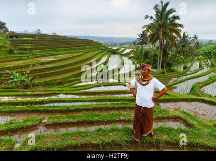 L'homme sur les rizières en terrasses de Jatiluwih. Bali. L'Indonésie, l'Asie. Banque D'Images