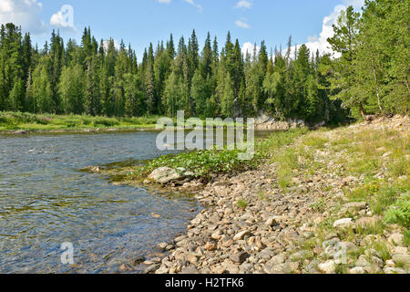 Rivière de la taïga du nord dans l'Oural. L 'forêts vierges de Komi' site du patrimoine mondial de l'Unesco dans le parc national 'Yugyd VA'. Banque D'Images