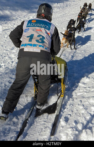 Pirena. Course de chiens de traîneau dans les Pyrénées en passant par l'Espagne, Andorre et la France. La Molina. Province de Gérone. La Catalogne. Espagne Banque D'Images