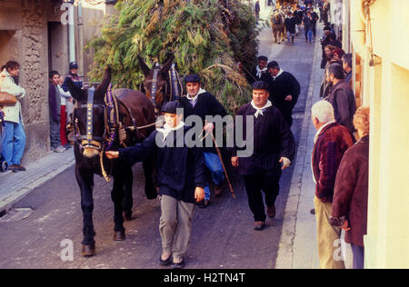 Parade,'Festa dels Traginers", Fête de l'muletier dans Shanghai. Comarca del Bages. Eix del Llobregat, Catalogne, Espagne. Banque D'Images