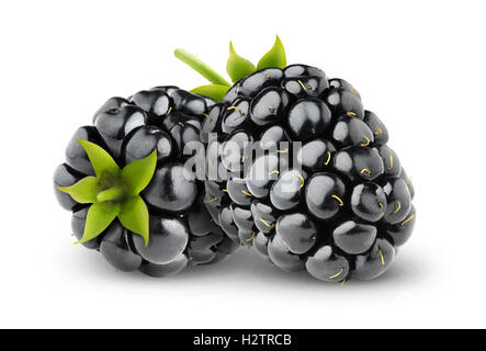 Les mûres isolées. Deux blackberry fruits isolé sur fond blanc avec clipping path Banque D'Images