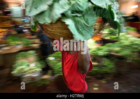 Marché de Fruits et légumes dans les étals du marché Central, Port Louis, Ile Maurice Banque D'Images