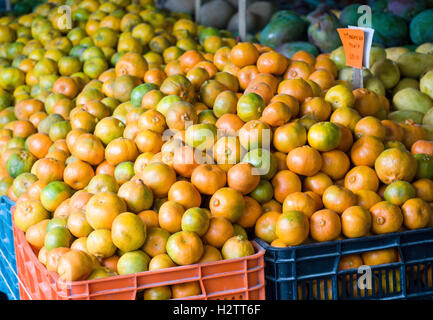 Mandarina -- Les Oranges en vente dans un petit fruiteria marché. Un affichage des locaux non pulvérisées d'oranges dans un marché de fruits. Banque D'Images