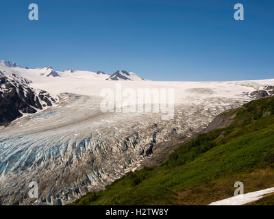 Vue sur le glacier de sortie lorsqu'elle quitte le champ de glace Harding sur un beau matin d'été, Kenai Fjords National Park, Seward, Alaska Banque D'Images