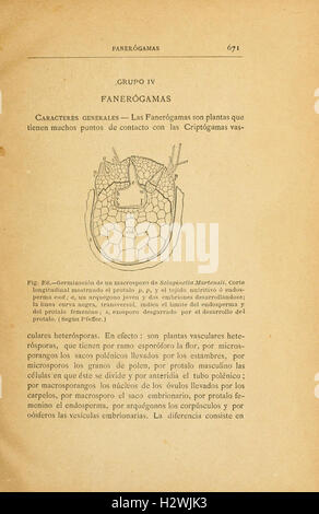 Elementos de botánica, conformes al proggrama de la Universidad Mayor de la República entresacados de payeur, Sachs, Van Tieghem, Lanessan (page 671) BHL236 Banque D'Images