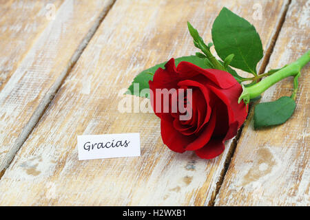 Gracias (merci en espagnol) avec carte rose rouge sur la surface en bois rustique Banque D'Images