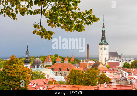 Vue de la vieille ville de Tallinn, Estonie en couleurs d'automne Banque D'Images