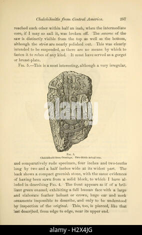 Annales du Lyceum of Natural History of New York (page 257) BHL33 Banque D'Images